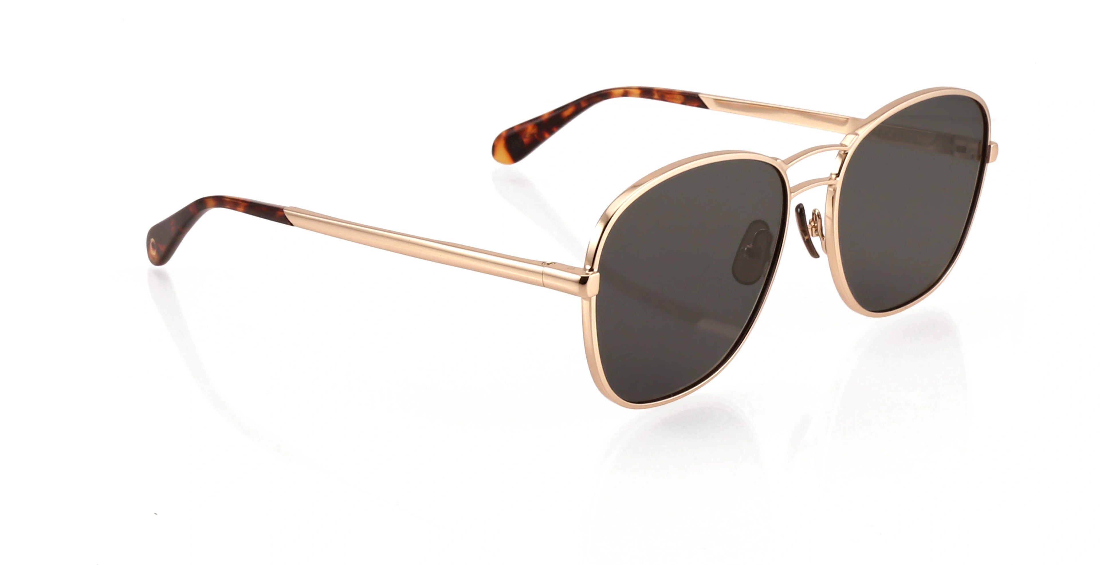 CANNONBALL Gold Tortoise